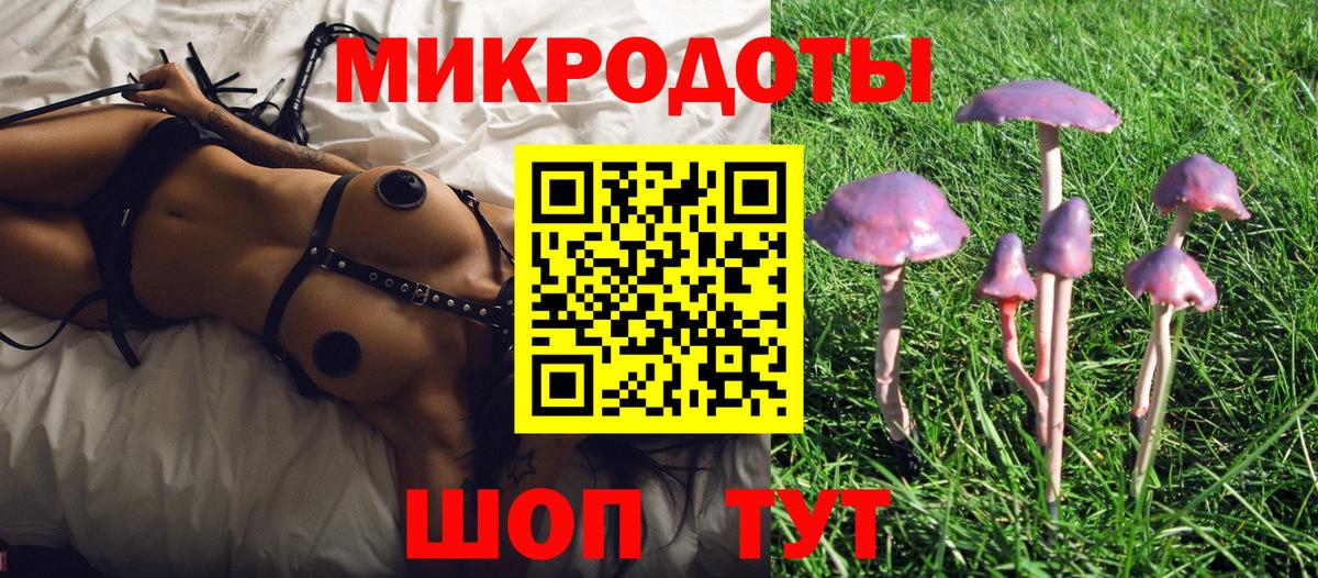 Галлюциногенные грибы Magic Shrooms  Псилоцибиновые грибы ЛСД  Вход с VPN  Грозный 