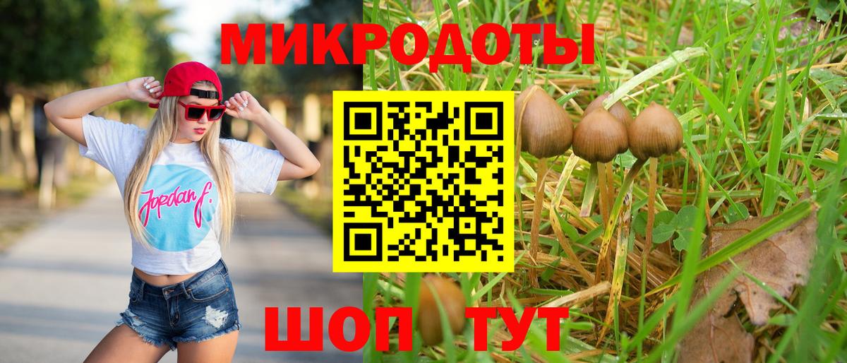 Псилоцибиновые грибы Psilocybe Грозный